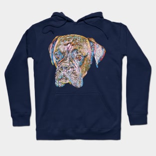 Boxer Dog Gifts Hoodie